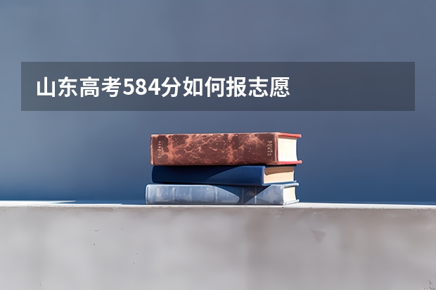 山东高考584分如何报志愿