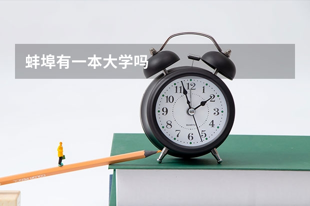 蚌埠有一本大学吗