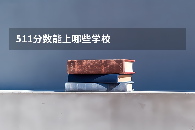 511分数能上哪些学校