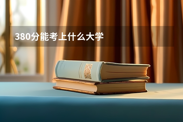 380分能考上什么大学