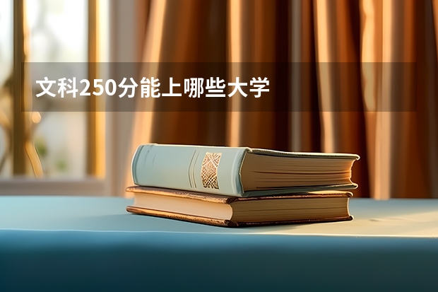 文科250分能上哪些大学