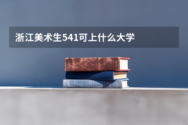 浙江美术生541可上什么大学