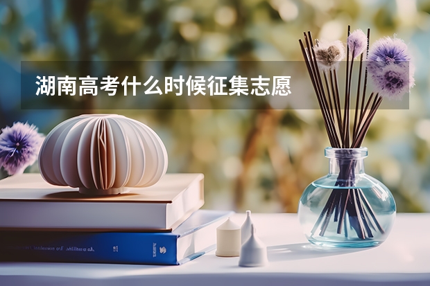 湖南高考什么时候征集志愿