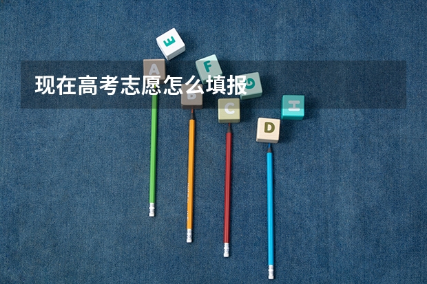 现在高考志愿怎么填报
