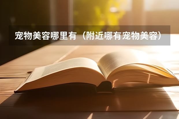 宠物美容哪里有(附近哪有宠物美容)