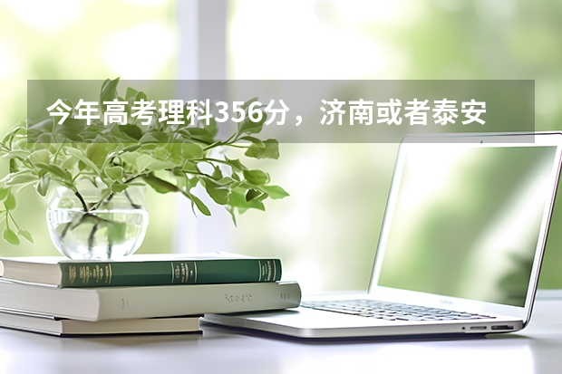 今年高考理科356分，济南或者泰安有合适的学校吗？