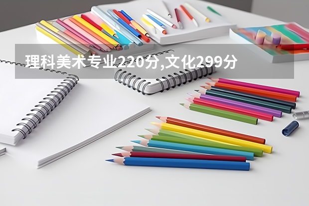 理科美术专业220分,文化299分有什么大学?