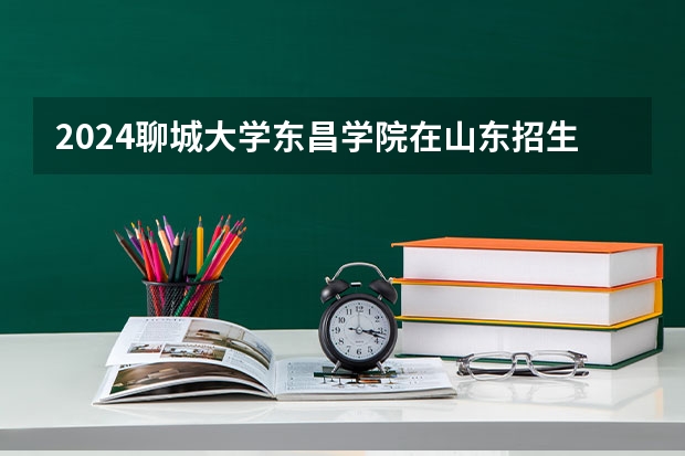 2024聊城大学东昌学院在山东招生计划（招生人数）