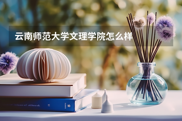 云南师范大学文理学院怎么样