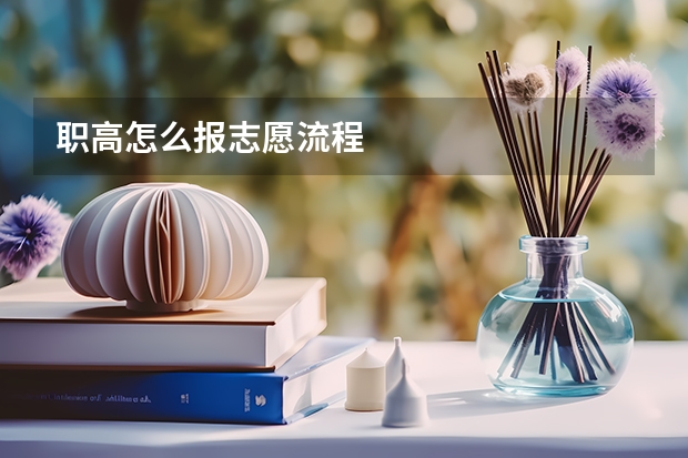 职高怎么报志愿流程