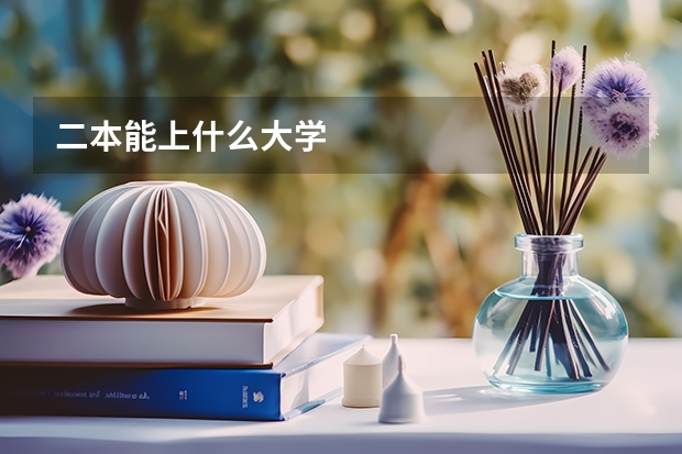 二本能上什么大学