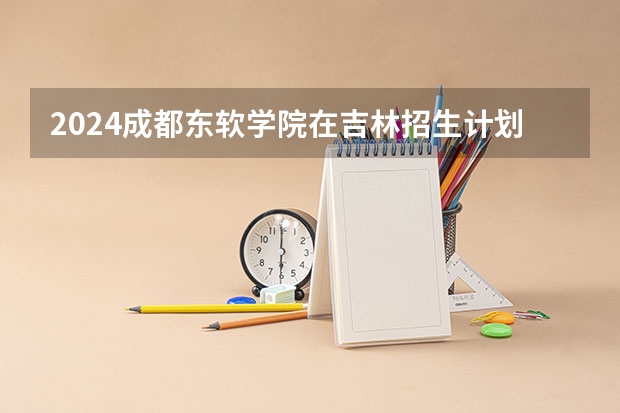 2024成都东软学院在吉林招生计划（招生人数）
