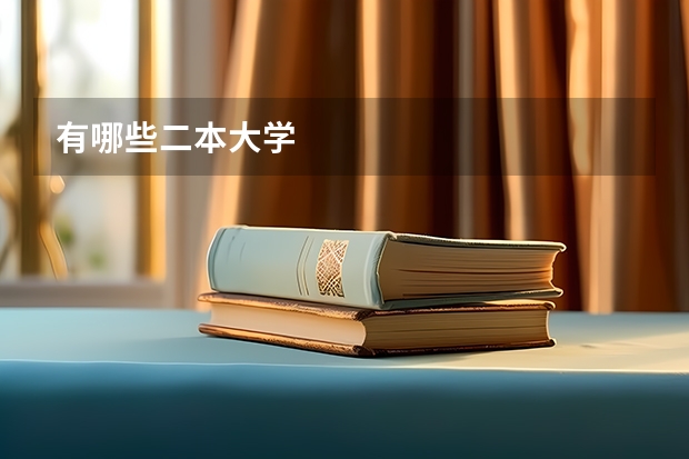 有哪些二本大学