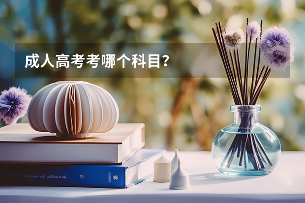 成人高考考哪个科目?