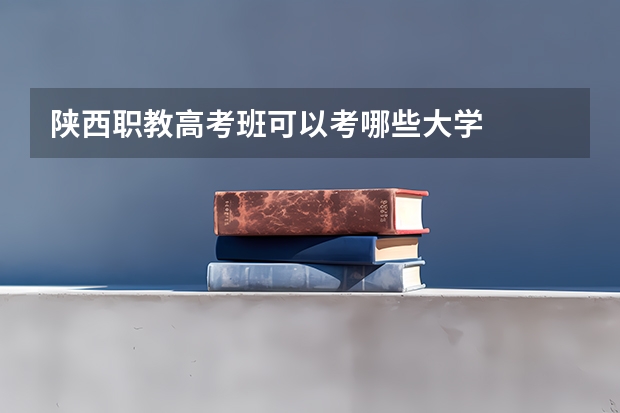 陕西职教高考班可以考哪些大学