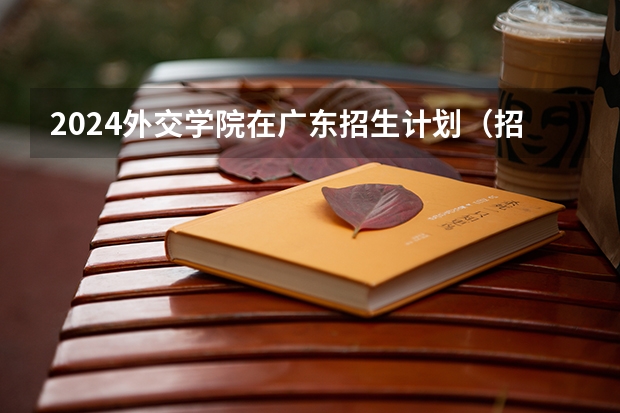 2024外交学院在广东招生计划（招生人数）