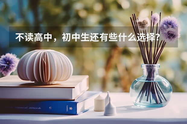 不读高中，初中生还有些什么选择？