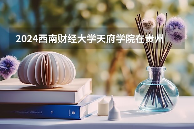 2024西南财经大学天府学院在贵州招生计划（招生人数）