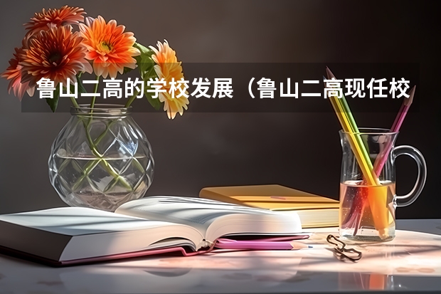鲁山二高的学校发展（鲁山二高现任校长是谁）