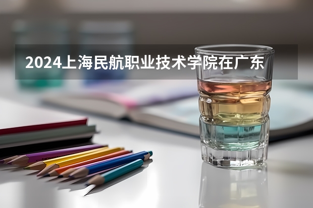 2024上海民航职业技术学院在广东招生计划（招生人数）