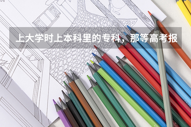 上大学时上本科里的专科，那等高考报志愿时是报本科批还是专科（专科批几号报志愿）