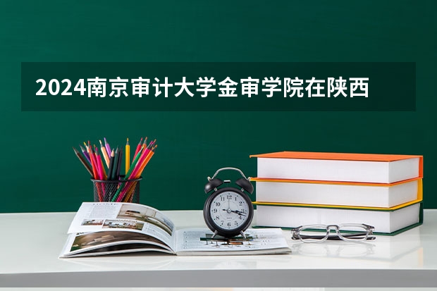 2024南京审计大学金审学院在陕西招生计划（招生人数）