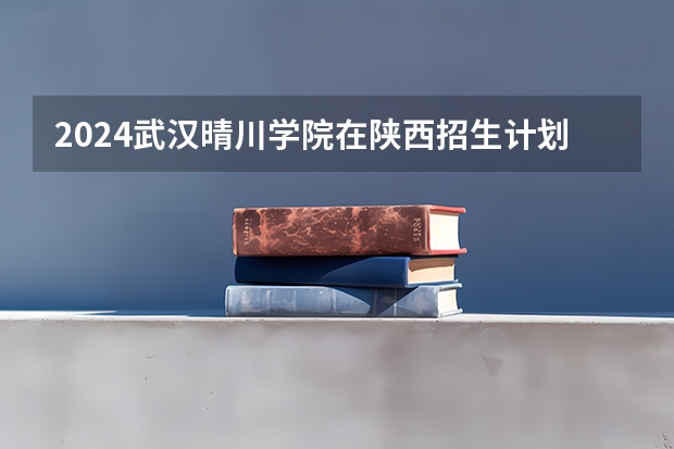 2024武汉晴川学院在陕西招生计划（招生人数）