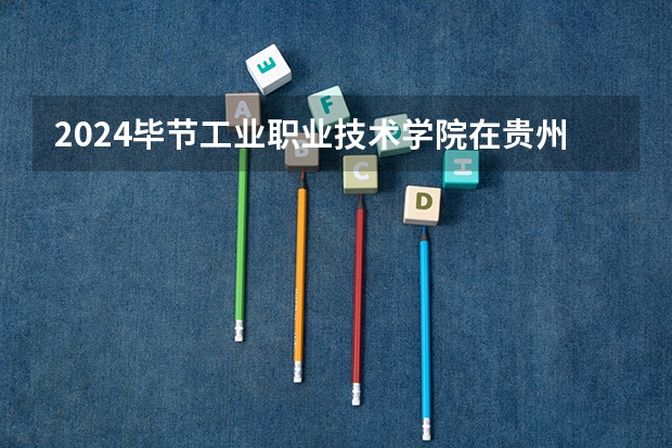 2024毕节工业职业技术学院在贵州招生计划（招生人数）