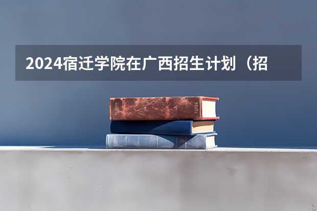 2024宿迁学院在广西招生计划（招生人数）