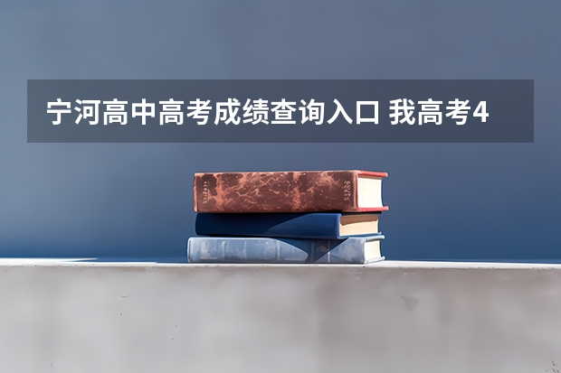 宁河高中高考成绩查询入口 我高考480分左右可以上一本了了么? 我天津市 宁河县的
