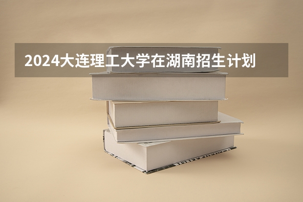 2024大连理工大学在湖南招生计划（招生人数）