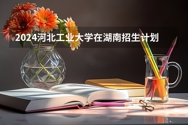 2024河北工业大学在湖南招生计划（招生人数）