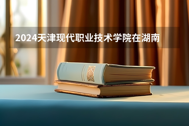 2024天津现代职业技术学院在湖南招生计划（招生人数）