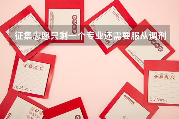 征集志愿只剩一个专业还需要服从调剂吗