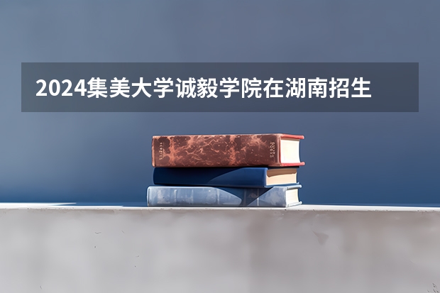 2024集美大学诚毅学院在湖南招生计划（招生人数）