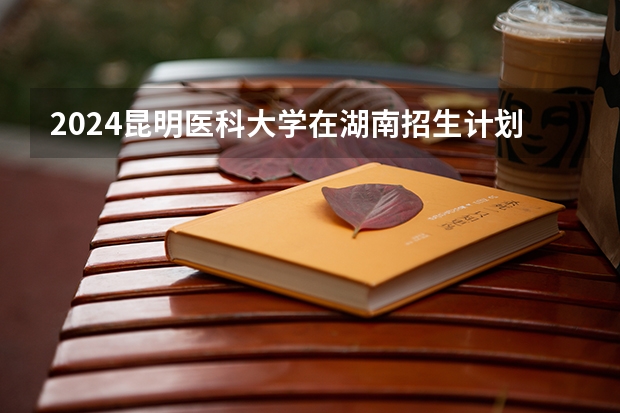 2024昆明医科大学在湖南招生计划（招生人数）