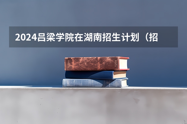 2024吕梁学院在湖南招生计划（招生人数）