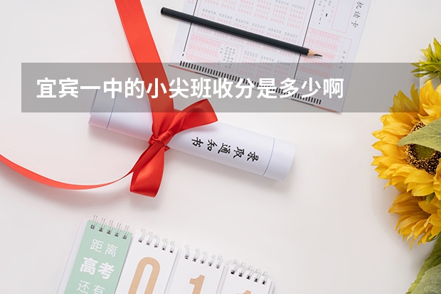 宜宾一中的小尖班收分是多少啊