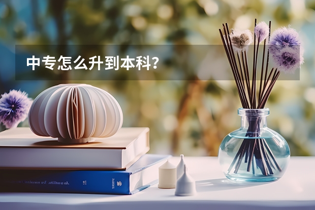 中专怎么升到本科？