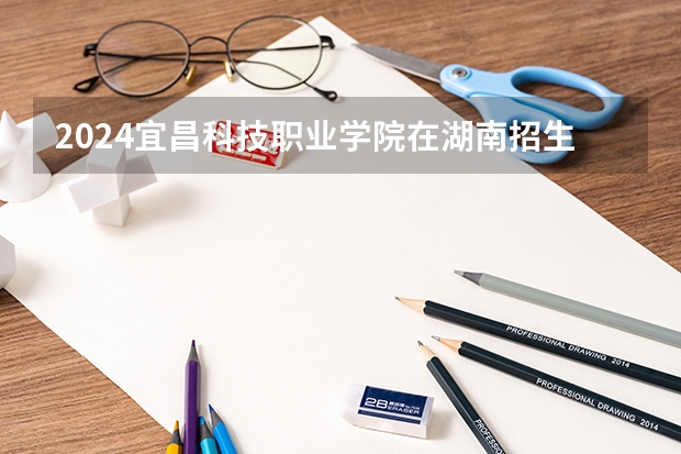 2024宜昌科技职业学院在湖南招生计划（招生人数）