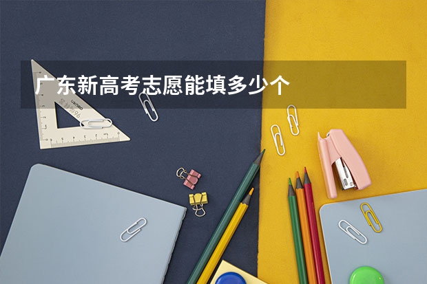 广东新高考志愿能填多少个