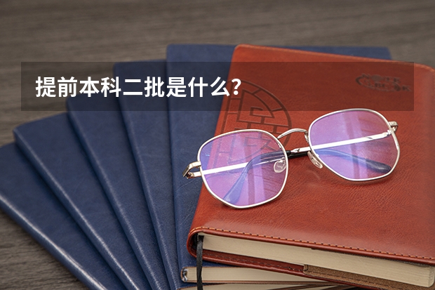 提前本科二批是什么?