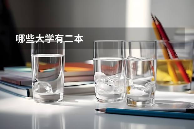 哪些大学有二本