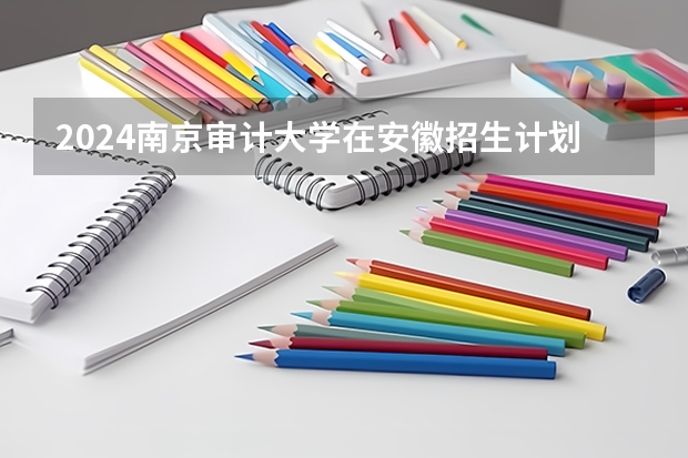 2024南京审计大学在安徽招生计划（招生人数）
