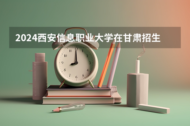 2024西安信息职业大学在甘肃招生计划（招生人数）