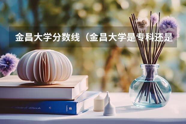 金昌大学分数线（金昌大学是专科还是本科）
