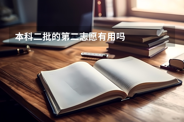 本科二批的第二志愿有用吗