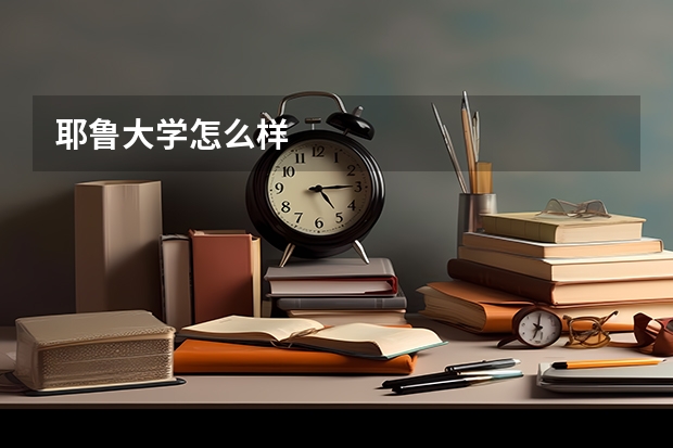 耶鲁大学怎么样
