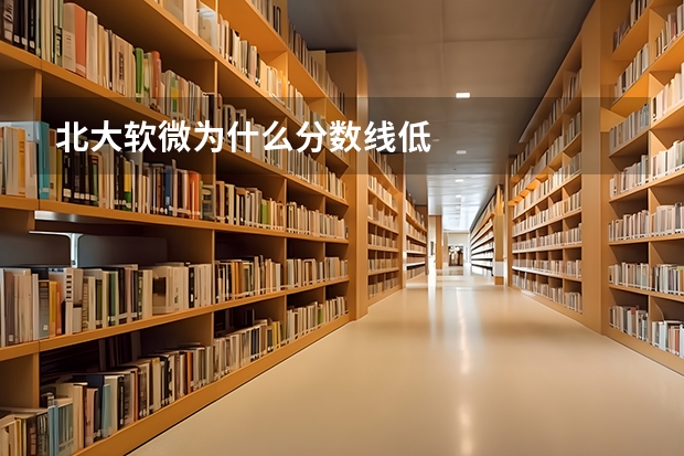 北大软微为什么分数线低