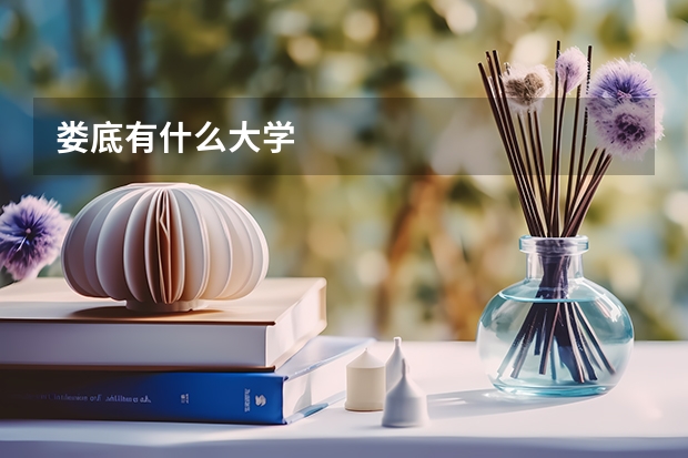 娄底有什么大学